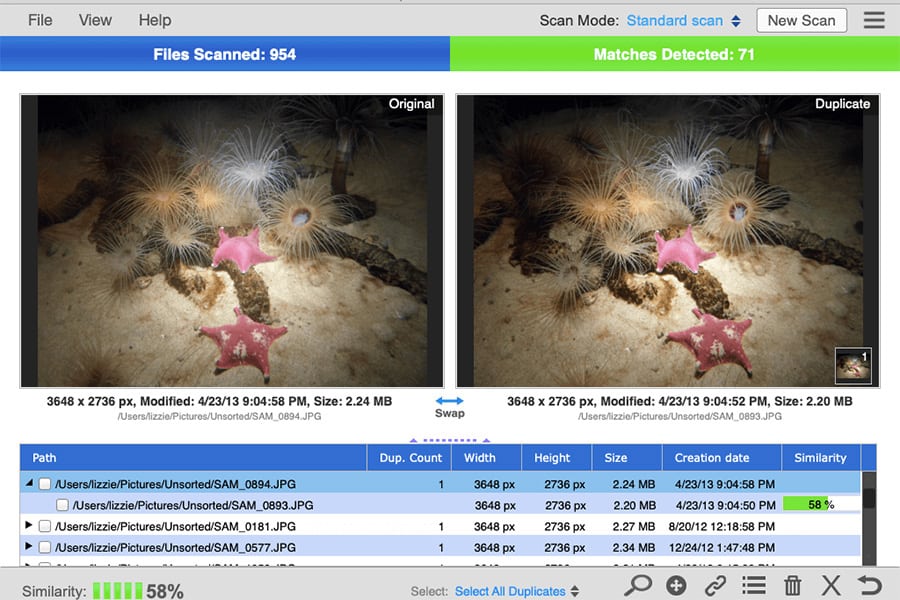 duplicate photo cleaner download free